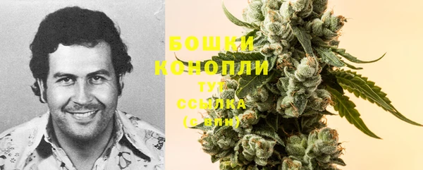 наркотики Белокуриха