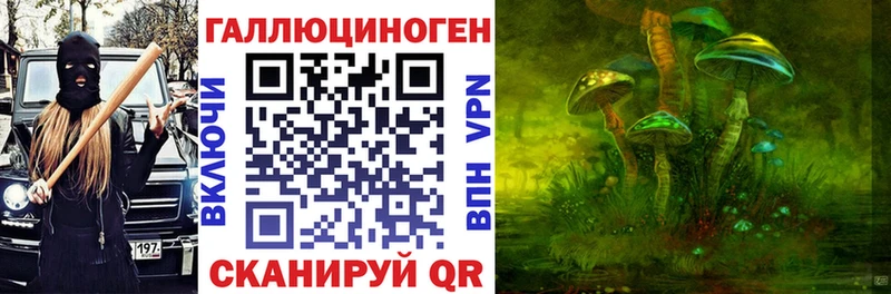 Галлюциногенные грибы Psilocybine cubensis как найти наркотики shop формула Волосово
